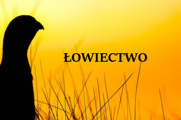 łowiectwo 