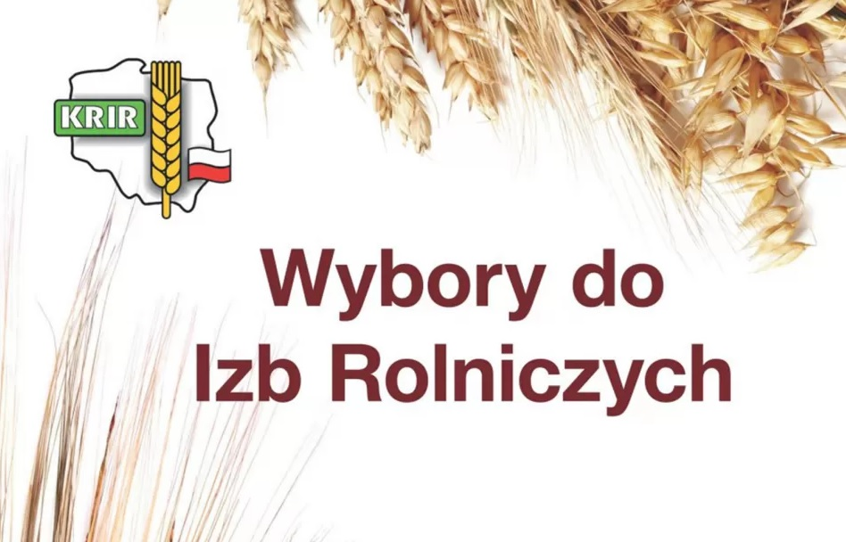 Grafika z napisem Wybory do Izb Rolniczych